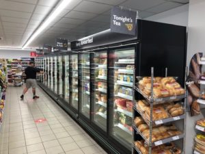 3 Door Commercial Freezer - Panama Green